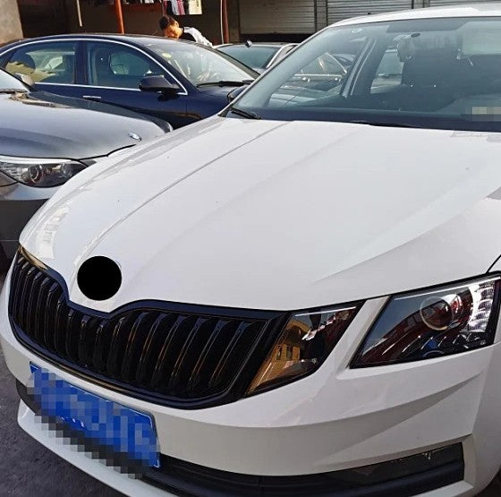 Car Craft Compatible With Skoda Octavia Iii 2017-2019 Rs Vrs Style Front Bumper Show Grill Black