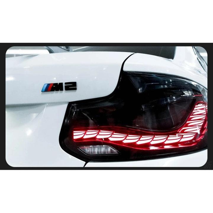 Car Craft Compatible With Bmw 2 Series F22 M2 2014-2021 Car Front Upgraded Tail Light Lamp Xenon Taillight Retrofit Upgrade Modified Led Drl Hid Led Style Gtr Smoke Clear - CAR CRAFT INDIA