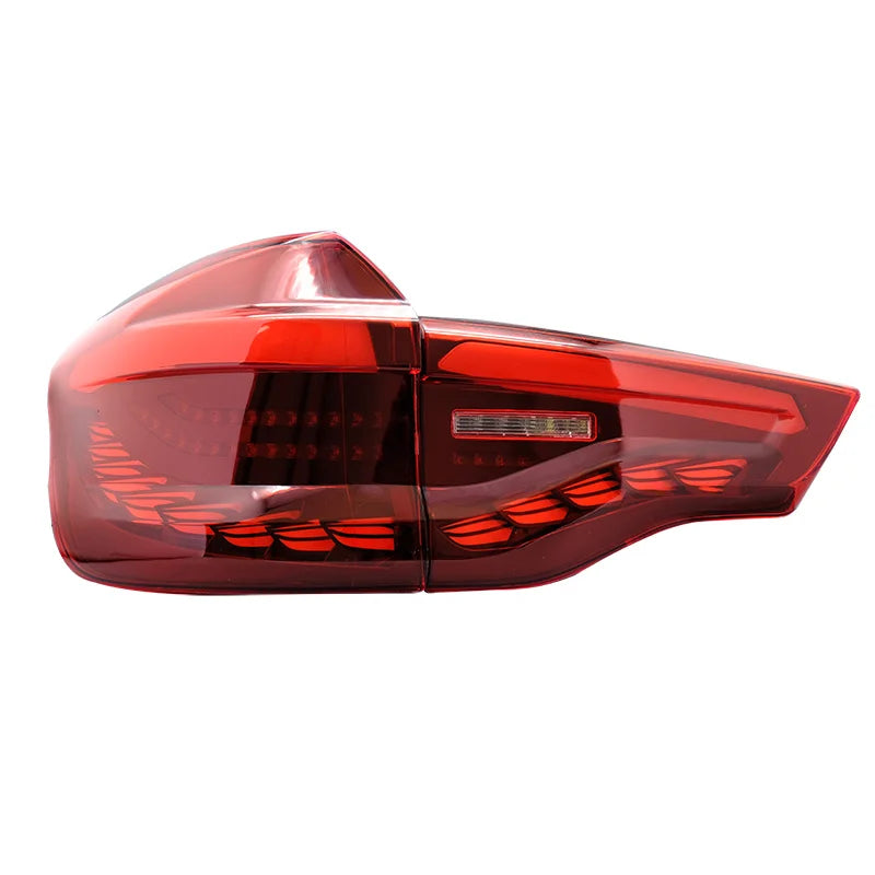 Car LED Tail Lights for BMW 2018-2021 X3 G08 G01 Dragon