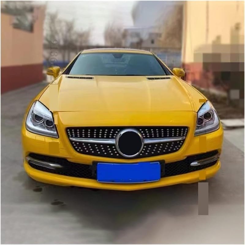 Car Craft Front Bumper Grill Compatible With Mercedes Slk W172 R172 2011-2016 Sports Gt Amg Front Bumper Panamericana Grill R172 Grill Diamond Silver - CAR CRAFT INDIA