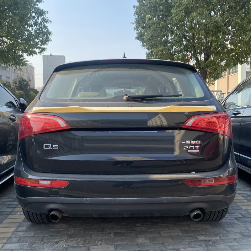 Car Craft Mid Trunk Spoiler Compatible with Audi Q5 8r