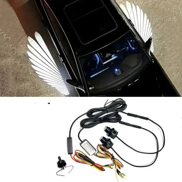 Car Craft Mirror Wings Welcome Ambient Dual Control Led