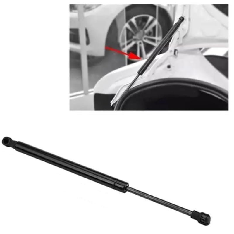 Car Craft Trunk Hoot Lift Support Strut Compatible With Bmw